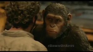 "War has already begun".- Caesar.