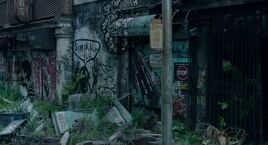 Dawn Graffiti