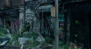 Walls are covered in graffiti.