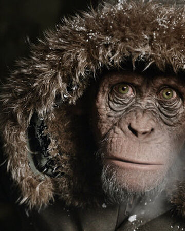 Bad Ape | Planet Of The Apes Wiki | Fandom