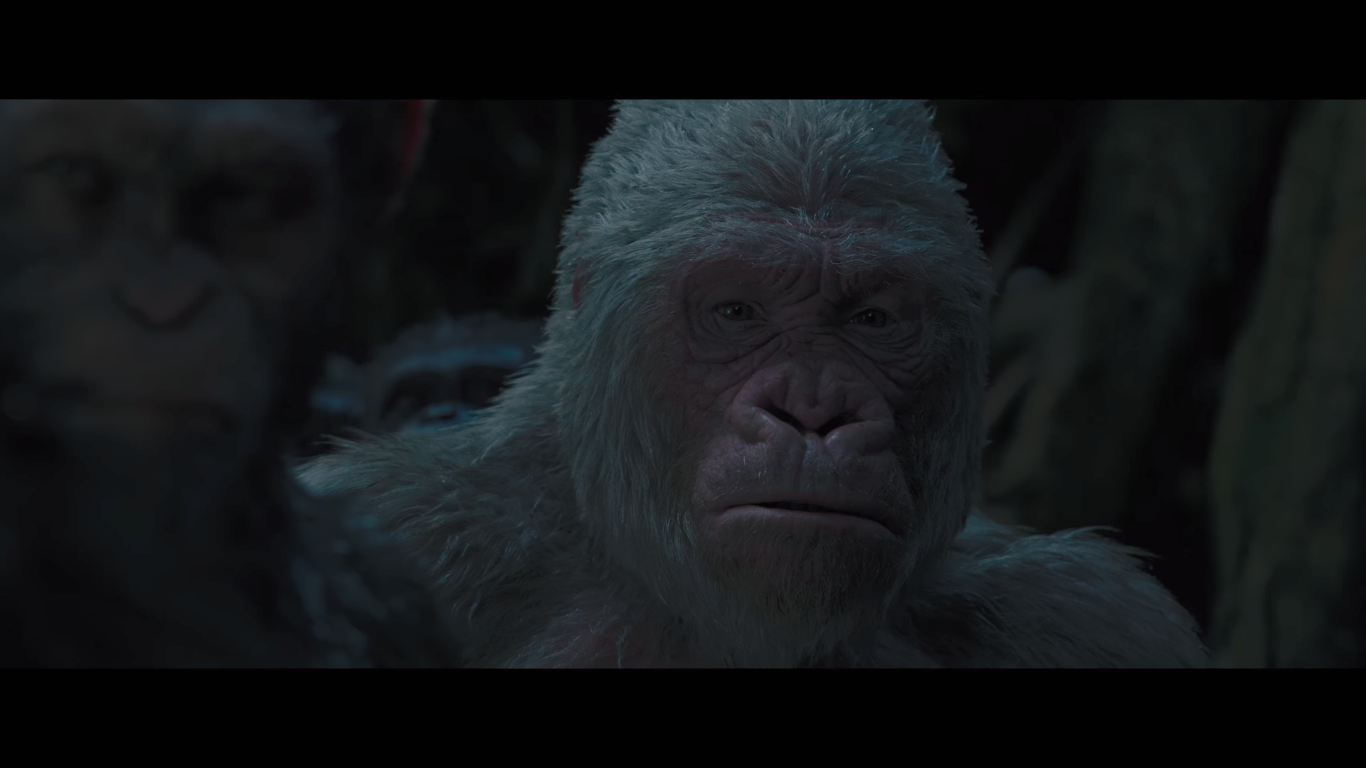 rise of the apes gorilla