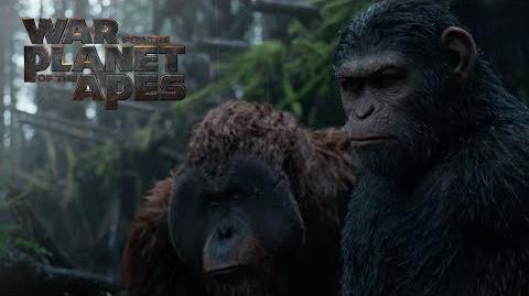 War for the Planet of the Apes Extended Preview 20th Century FOX