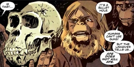 POTA Betrayal Issue 2-Pansa