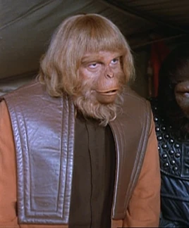 Orangutan council member