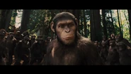 The apes hail Caesar as their leader.