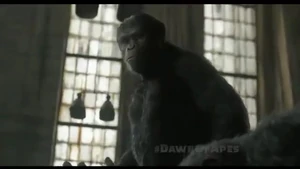 Caesar in a Warehouse.