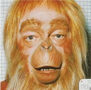 Costume Test22.jpg (106 KB)