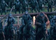 Dawn-of-the-planet-of-the-apes-photo