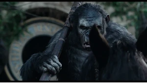 Koba, the main ape antagonist.