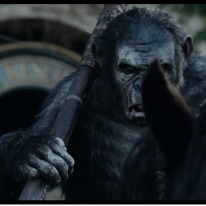 Koba Gallery Planet Of The Apes Wiki Fandom New collection of pictures, images and wallpapers with planet of. koba gallery planet of the apes wiki