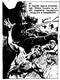 Levain is killed by apes; illustration by Erno Zorad