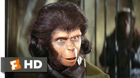 Planet of the Apes (2 5) Movie CLIP - Human See, Human Do (1968) HD