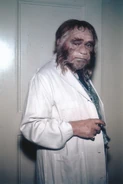 Edward Robinson Zaius 2.jpg (881 KB)