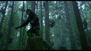 The Apes find Humans in the woods.