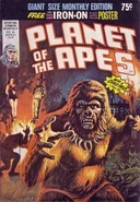 Newton Australia 16.jpg (37 KB)