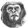 General Ursus in Foster & Whitty's 'Within The Planet of the Apes'; illustration by Neil Foster