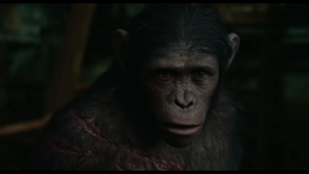 Go Inside Kingdom of the Planet of the Apes