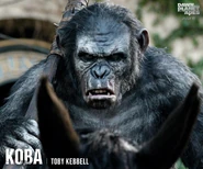 Koba.jpg (111 KB) From the Apes Movies Facebook page: Toby Kebbell is Koba.