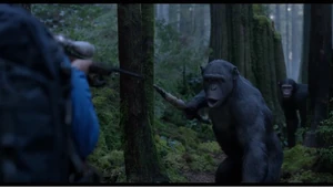 Rocket protects Blue Eyes and Ash.