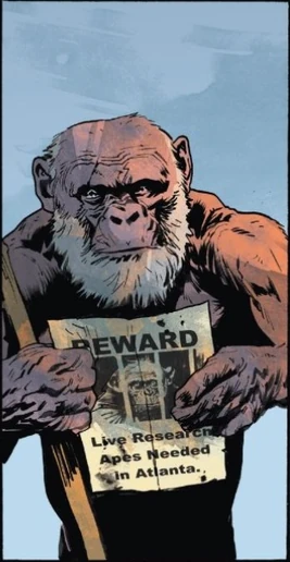 WPOTA I1 Beardface