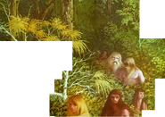 Concept Art7.gif (721 KB) (by Don Peters)