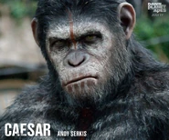 1958225 890357457646717 1307391362489249469 n.jpg (134 KB) From the Apes Movies Facebook Page: Andy Serkis is Caesar.