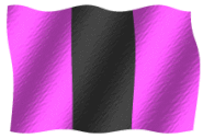 Ape City Flag 1