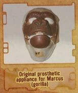 Lombardomakeup.jpg (18 KB)