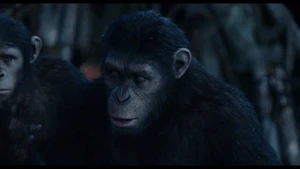 Caesar signs future.