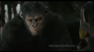 "This is my home!" - Caesar.