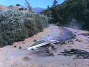 The unnamed spaceship crash lands on the Planet of the Apes