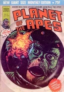 Newton Australia 15.jpg (37 KB)