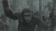 Dawn-of-the-planet-of-the-apes-51ebf72075c1a
