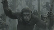 Dawn-of-the-planet-of-the-apes-51ebf72075c1a.jpg (936 KB) First Look at Caesar.