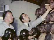 Custume Test9.jpg (63 KB) John Chambers & Tom Burman