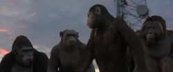 Weta28.jpg