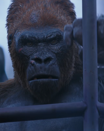 Red Planet Of The Apes Wiki Fandom Red Planet Of The Apes Wiki Fandom