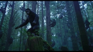 Caesar in the forest.