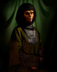 Michelle Juhlin by David Honl.jpg