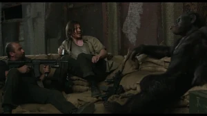 Koba relaxing with the humans.