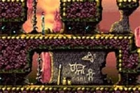 The Caves show evidence of Taylor's visit