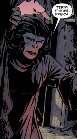 POTA Exile Issue 3-Prisca