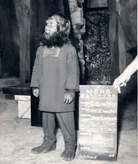 Sillacostume.jpg (29 KB) Felix Silla