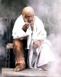 Zaius at the steam baths