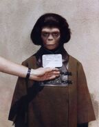 Costume Test16.jpg (119 KB) Tiare (12 April '67)