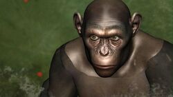 CG Chimp 2.jpg
