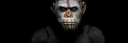 Caesar-apes-726x248.jpg (16 KB) First tease of NECA Caesar action figure.