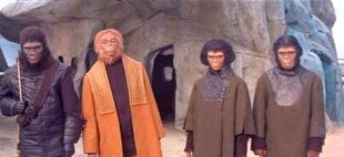 Robert Lombardo, Joe Wong and two chimps in 'Planet of the Apes' make-up/costume tests