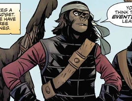 The simian age-Y von