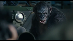 rise of the planet of the apes koba shotgun